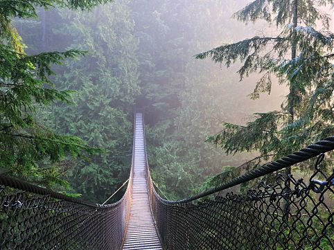 lynn-canyon.jpg