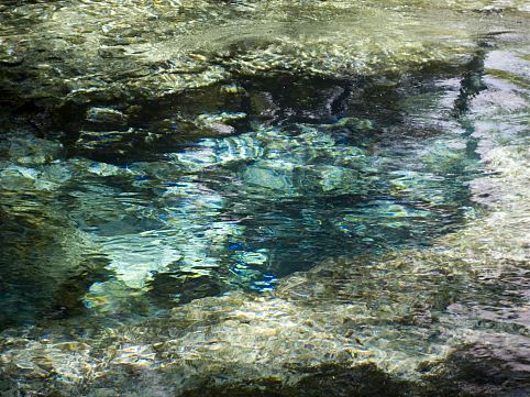 ginnie-springs.jpg