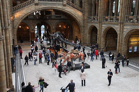 Museu de História Natural, Londres