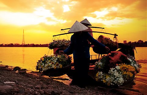 Vendedores de flores em Hanoi, Vietanm