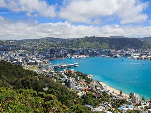 wellington.jpg