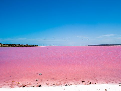 pink-lake.jpg