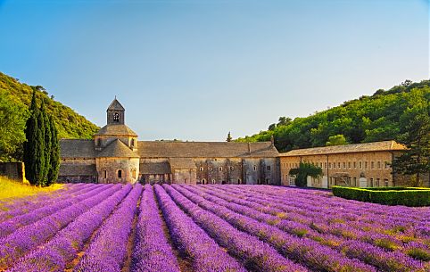 Abadia de Senanque em Luberon 