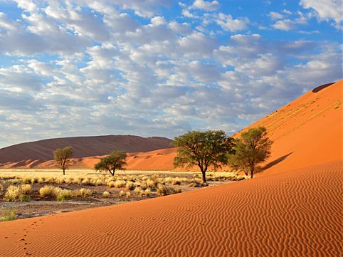 Tanzânia, Argélia e Namíbia: conheça nações africanas onde a cultura e a natureza valem a viagem