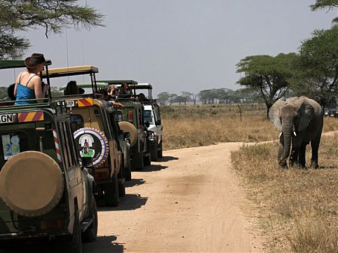 Tanzânia, Argélia e Namíbia: conheça nações africanas onde a cultura e a natureza valem a viagem