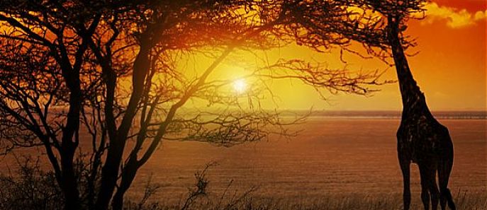 África, sem receios