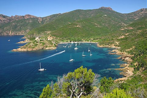 Golfo de Porto Girolata, Córsega