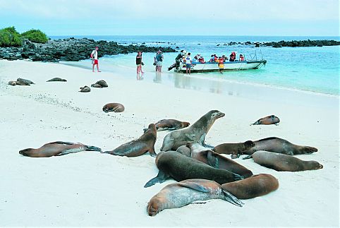 Galapagos, Equador