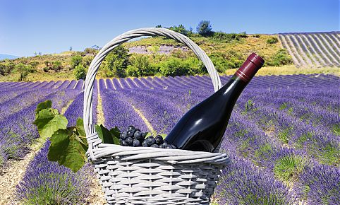 Cenas de Provence, França