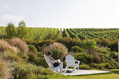 Ruta del Vino - Viña Matetic, Chile