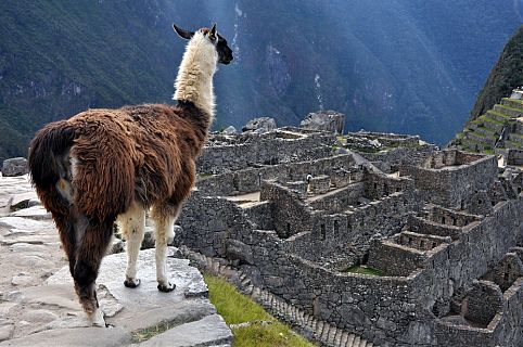 Cidades históricas, cruzeiros e resorts são apostas vitaminadas para viagens com jovens 