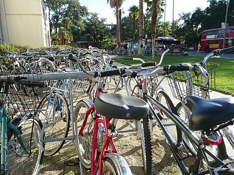 Selecionamos 10 cidades onde pedalar é essencial