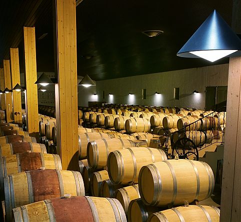 Cave de vinhos visitada no Weekend des Grand Crus