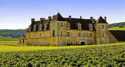 Chateau du Clos Bougeot - Borgonha