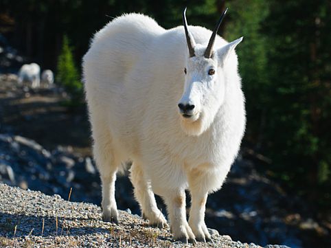 Um tour pelos encatos naturais e urbanos 