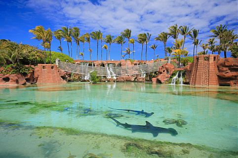  Hotel on Paradise 