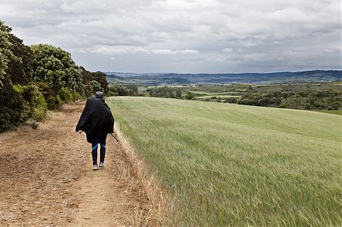 Peregrino solitário a caminho de Santiago de Compostela