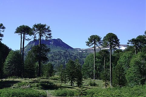 Altos de Biobio