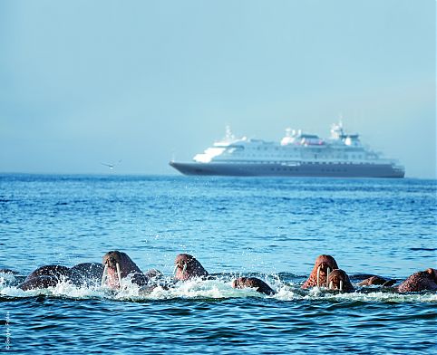 Silver Discoverer em Verkhotyrova Island