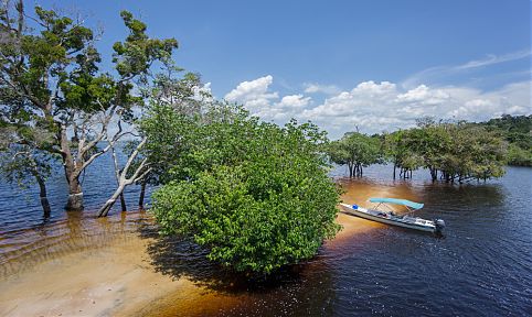 Amazonia, Brasil