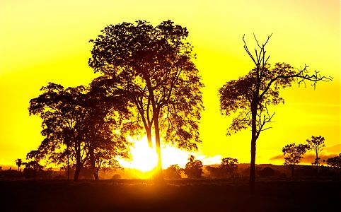 Por do Sol no Pantanal 