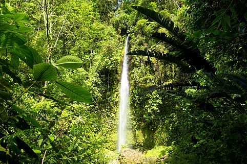 Amazônia, na faixa leste