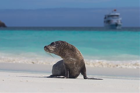 Ilhas de Galápagos