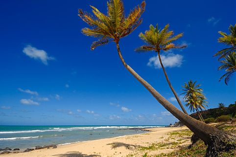 Praia do Amor - Pipa - RN