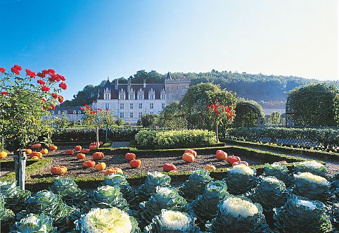 Horta do jardim Castelo de Villandry, Vale do Loire, França