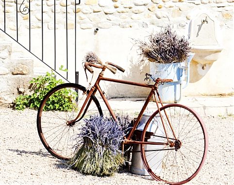 Provence 