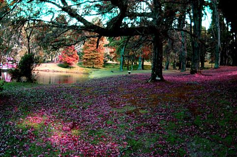 Campos do Jordão, SP