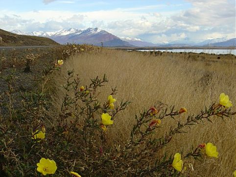 Patagônia, Argentina
