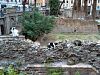 largo-di-torre-argentina.jpg