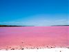 pink-lake.jpg