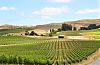 Napa Valley, California