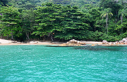 Praia do Cedro, Ubatuba