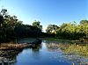 Aldeia dos Lagos, Parque Nacional do Jaú e Lagoa da Piranha oferecem opções para explorar a Amazônia em harmonia com sua preservação ambiental