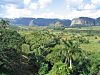 Formado pela costa dos Estados Unidos, México e Cuba, o Golfo do México revela tesouros históricos e patrimônio ecológico 