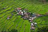 9 Terraços de arroz Tappasan Phurisamrit Shutterstock.jpg