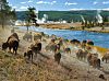 Os parques nacionais dos Estados Unidos atraem pelas paisagens de geografia caprichosa, rica fauna, flora e até lava vulcânica. Siga a nossa seleção