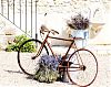 Bicicleta em Provence, França