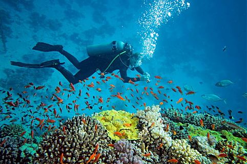 St. Barth Diving