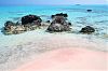 Pink Sands Beach, Bahamas