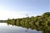 Conheça as comunidades indígenas, botos raros, jacarés e plantas gigantescas 