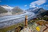 Aletsch