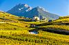 Valais Wine PHBcz Richard Semik shutterstock.jpg