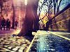 central-park.jpg