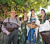 Festa da colheita da uva atrai turistas para o Vale dos Vinhedos no Rio Grande do Sul