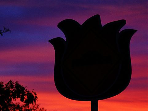 A poucas horas de São Paulo, Holambra é o pedacinho holandês do Brasil e promove anualmente a maior exposição de flores e plantas da América Latina