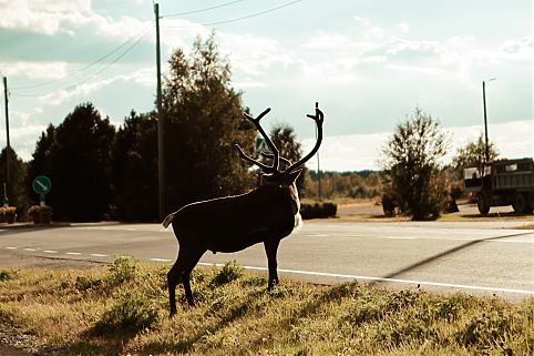  Rovaniemi, capital da Lapônia